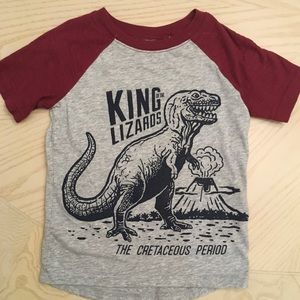 Boys Dinosaur T-shirt